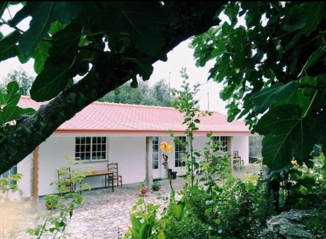 Casa Boavista Villa Paredes de Coura Bagian luar foto