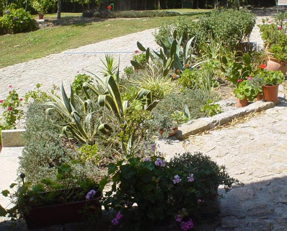 Casa Boavista Villa Paredes de Coura Bagian luar foto